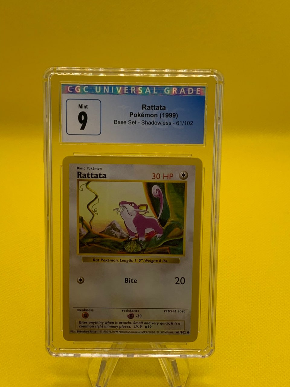 Wild Monster Rattata